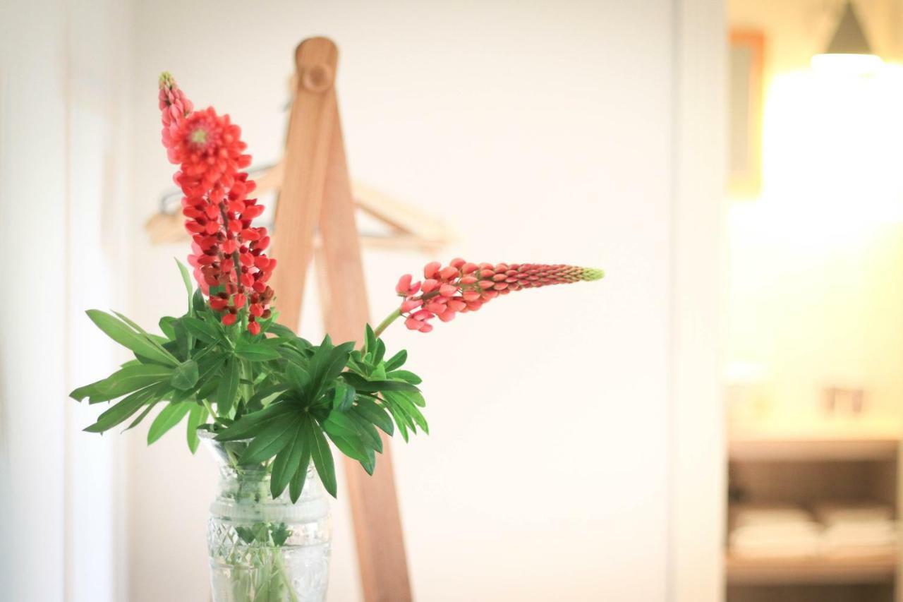 Soeder Countryhouse & Kitchen Båstad Εξωτερικό φωτογραφία